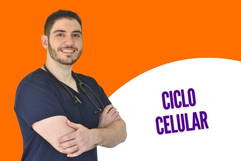 Ciclo celular y duplicación