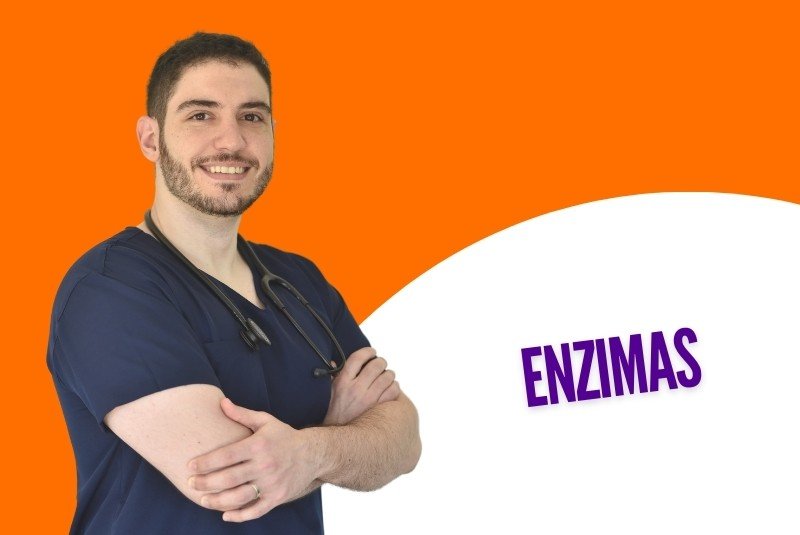 Enzimas