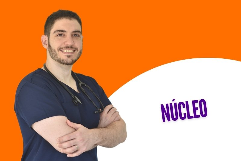 Núcleo