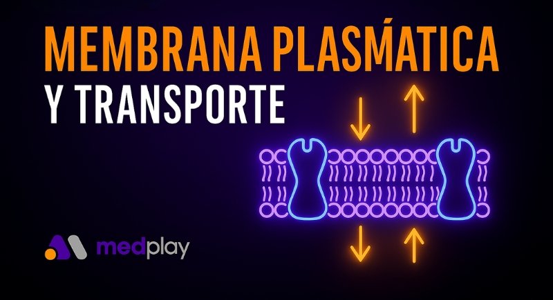 Membrana plasmática y transporte