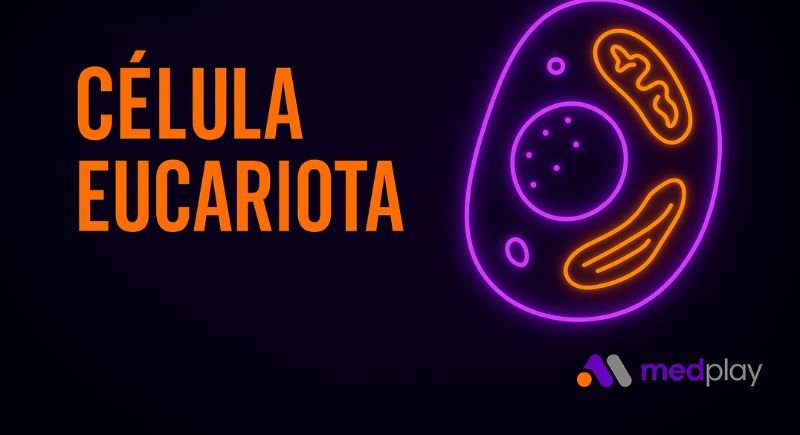  Célula eucariota