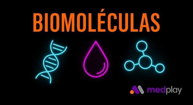 Biomoléculas